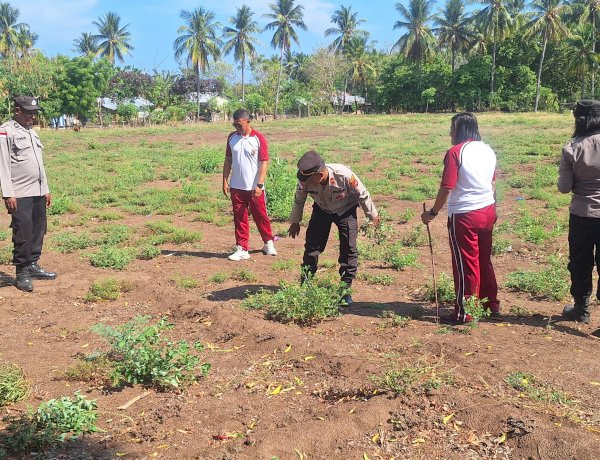 “Turun ke Ladang, Kapolsek Alok Pacu Semangat Petani Wujudkan Lumbung Jagung NTT”