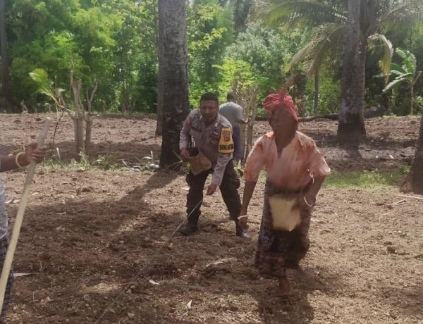 Bhabinkamtibmas Desa Langir Sikka Turun ke Ladang, Dorong Petani Sukseskan Program Pangan 2025