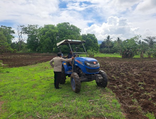 Sinergi di Tengah Ladang: Bhabinkamtibmas Polres Sikka Polda NTT dan Petani Nuba Puan Genjot Produksi Jagung