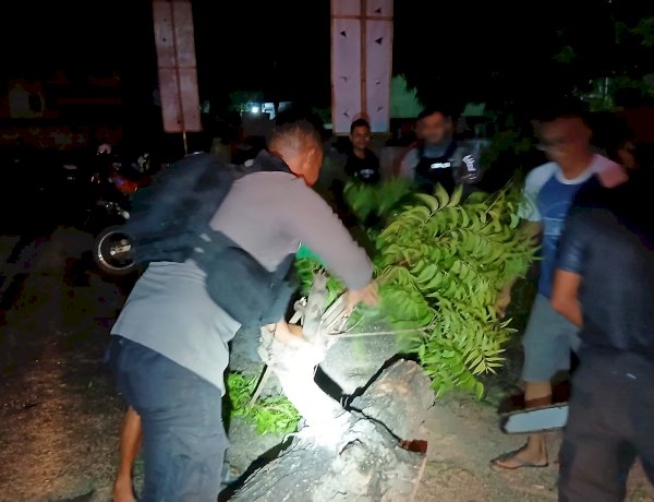 Sigap Hadapi Bencana, Turjawali Samapta Polres Sikka Polda NTT Bersihkan Pohon Tumbang, Akses Jalan Moa Toda Kembali Normal