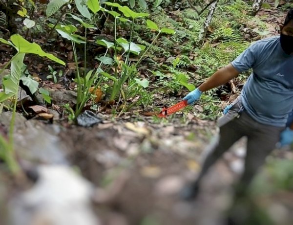 Polsek Nita Polres Sikka Amankan dan Tangani Penemuan Jenazah di Kebun Warga Nirangkliung Sikka