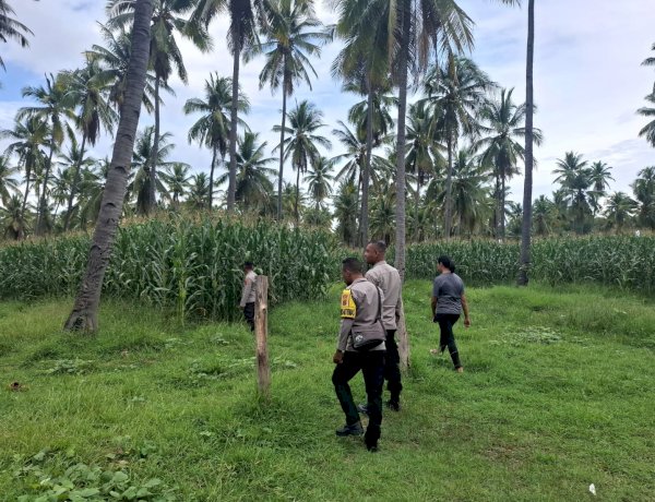 Pastikan Agenda Nasional Berjalan Optimal, Polres Sikka Polda NTT Lakukan Pengecekan Lokasi Panen Raya