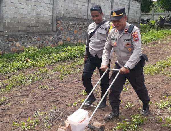 Ketahanan Pangan Dimulai dari Desa, Polres Sikka Polda NTT Dampingi Poktan Tati Nahing Tanam Jagung