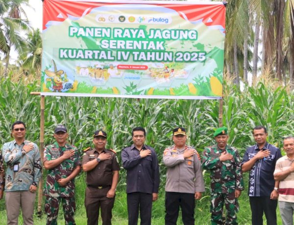 Panen Raya Jagung Serentak Jadi Momentum Polres Sikka Polda NTT Perkokoh Ketahanan Pangan Nasional dan Daerah