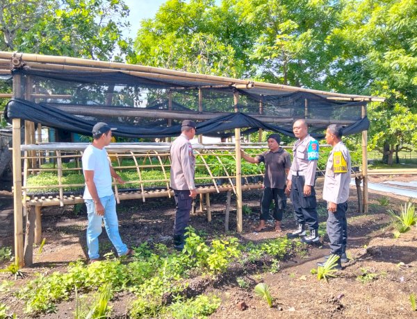 Polsek Kewapante Polres Sikka Aktif Kelola dan Rawat Pekarangan Bergizi di Lingkungan Polsek