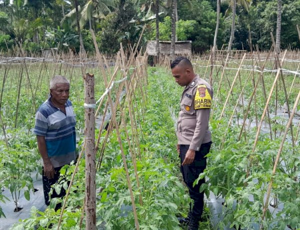 Personil Bhabinkamtibmas Polsek Nita Polres Sikka Polda NTT Rutin Dampingi Kelompok Tani dan warga Tani di Kecamatan Nita Kab.Sikka