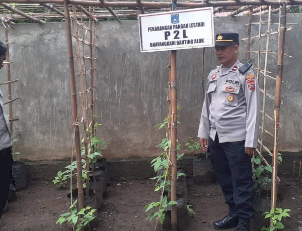 Dari Mako ke Lahan Produktif: Polsek Alok Polres Sikka Polda NTT Gerakkan Ketahanan Pangan Nasional