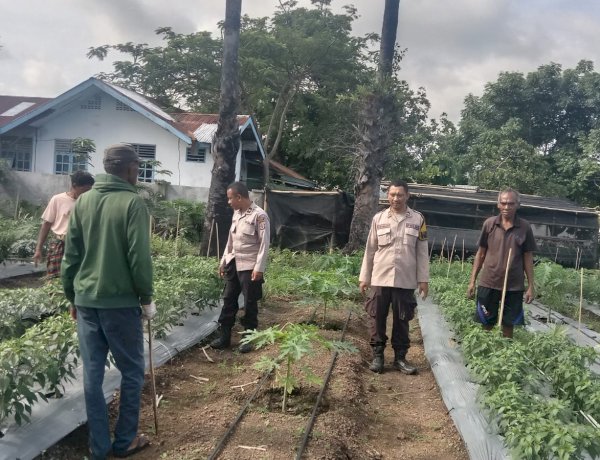 Dari Pekarangan Warga ke Ketahanan Pangan Nasional, Jajaran Polres Sikka Pantau Lahan Hortikultura di Hokor