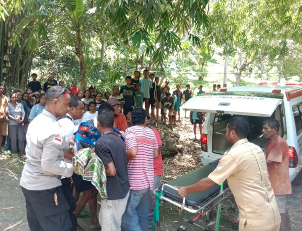 Laka Maut di Tanjakan Krado: Dump Truck Bermuatan Pasir Terbalik, Polsek Bola Polres Sikka Bergerak Cepat Tangani TKP