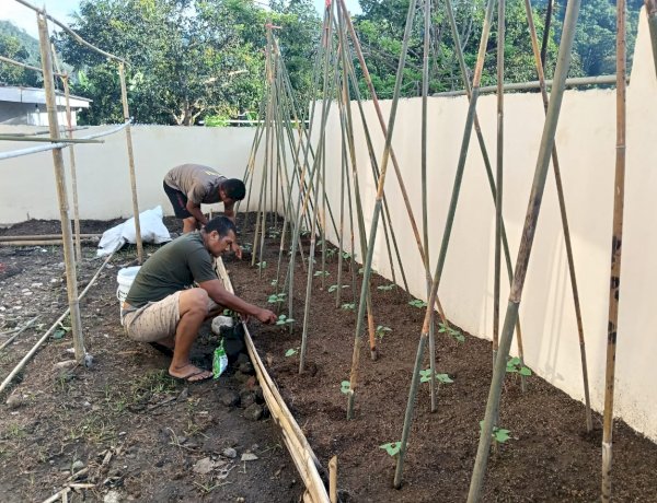 “Hijaukan Pekarangan, Kuatkan Ketahanan: Inisiatif Pangan Polsubsektor Mego Polsek Paga Polres Sikka