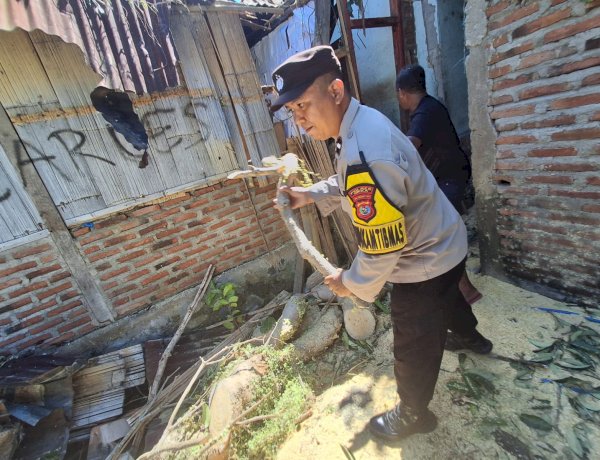 “Sigap di Tengah Bencana: Polsek Paga Polres Sikka Evakuasi Pohon Tumbang di Masebewa”