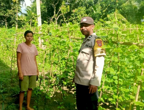 Perempuan Tani di Kotandelu Jadi Garda Depan Ketahanan Pangan, Polres Sikka Turun Langsung Beri Pendampingan