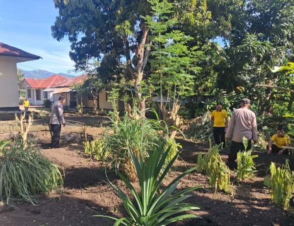 Polsek Nelle Polres Sikka Tancap Gas Wujudkan Ketahanan Pangan, Lahan Tidur Disulap Jadi Kebun Produktif