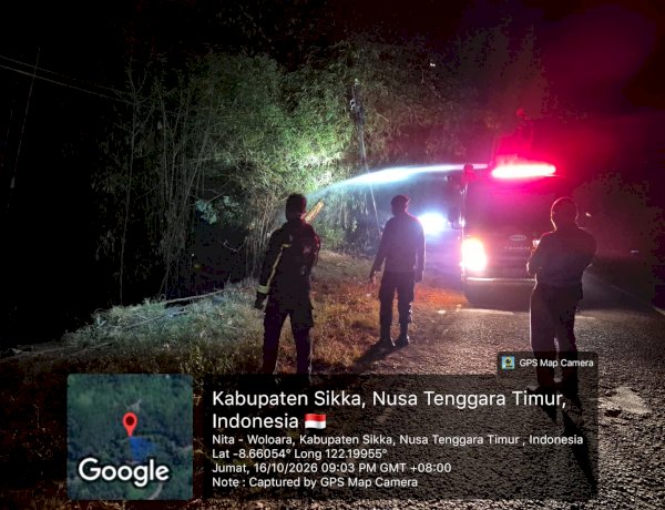 Api Membesar di Tepi Jalan Trans Maumere–Ende, Polres Sikka dan Damkar Berjibaku Padamkan Kebakaran Lahan Bambu
