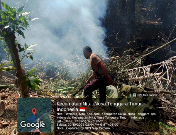 Bahaya Mengintai Permukiman, Sinergi Polsek Nita Polres Sikka dan Warga Kendalikan Kebakaran Lahan