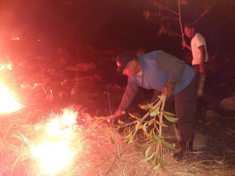 Personil Polsek Waigete Berjibaku Memadamkan Api Karhutla Menggunakan Dahan Pohon