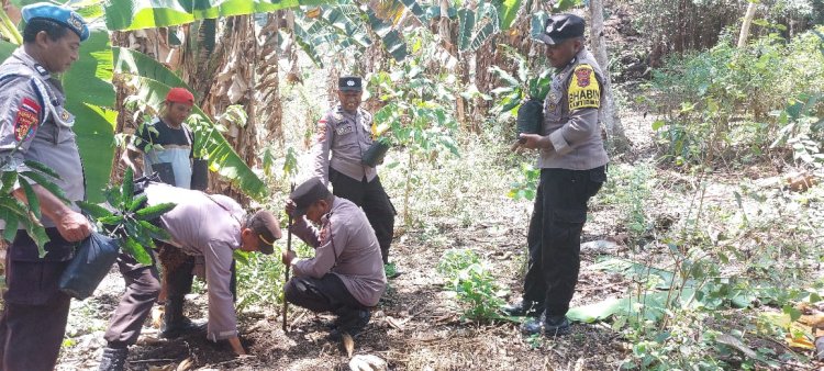 Bag SDM Polres Sikka dan Polsek Jajaran Laksanakan Penghijauan dalam rangka Penanaman Sepuluh Juta Pohon bersama Polri