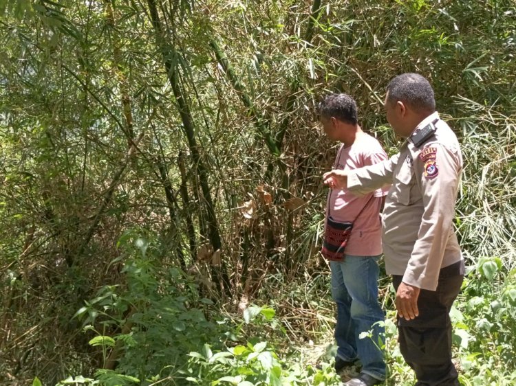 Tragedi Maut: Petani Tewas Tersengat Listrik saat Memotong Bambu Aur