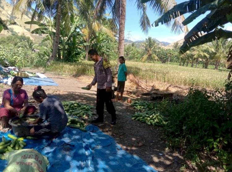 Bhabinkamtibmas Desa Kolisia B Gelar Patroli dan Sambang di Dusun Nawuteu