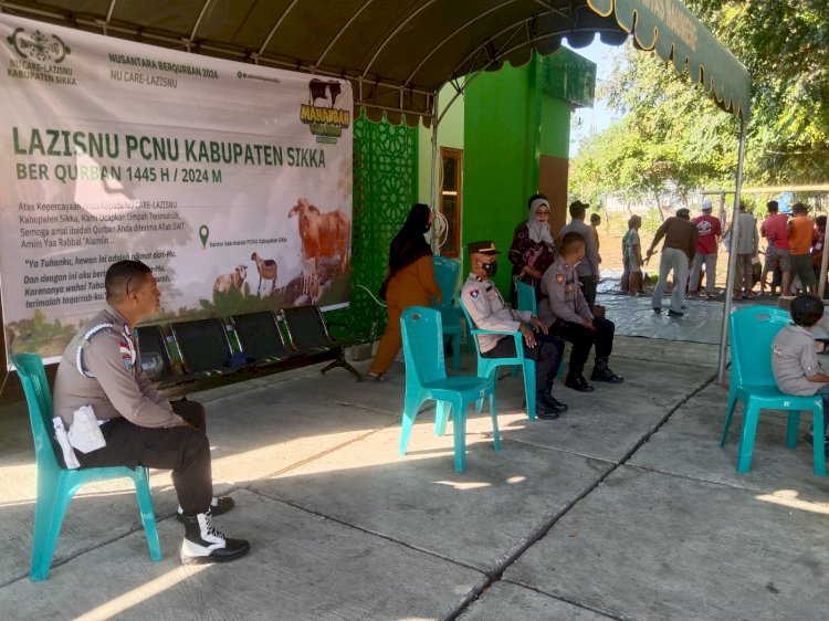 Pengamanan Pemotongan Hewan Qurban di Kantor Sekretariat PCNU Sikka Berlangsung Khidmat dan Lancar