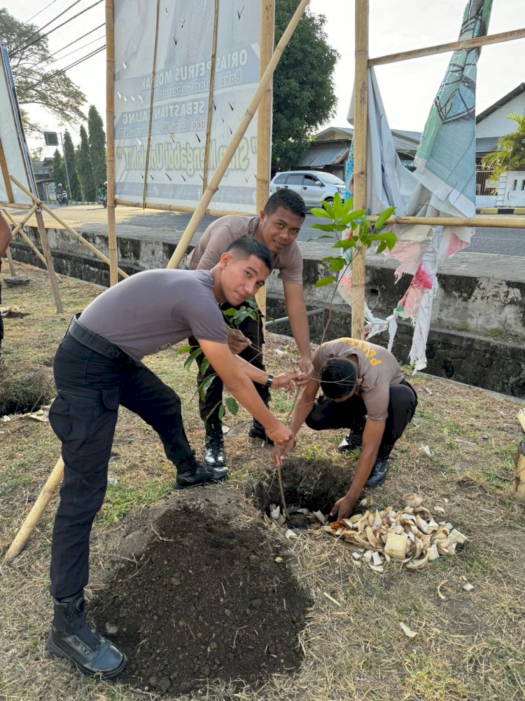 Polri Peduli Penghijauan, Polres Sikka Lakukan Penanaman Pohon Dalam Rangka Menyambut Hari Bhayangkara ke-78