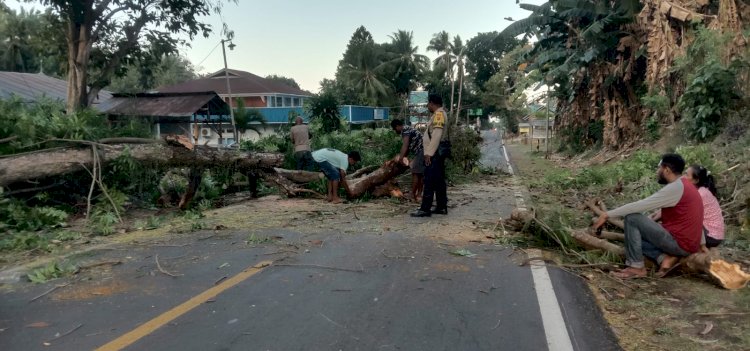 PATROLI DIALOGIS GUNA MELAKUKAN PENGATURAN LALIN  & MEMBANTU WARGA MEMBERSIHKAN JALAN AKIBAT POHON TUMBANG