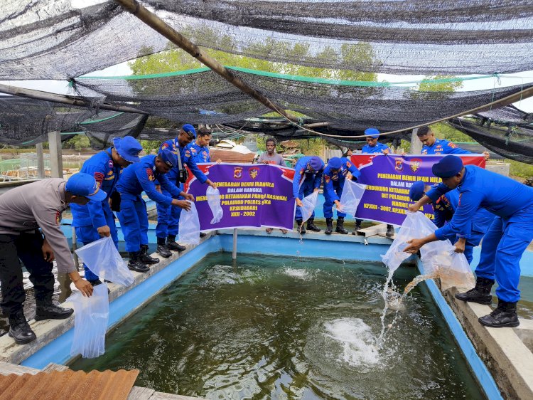 Sat Polairud Polres Sikka Tebar 3.000 Benih Ikan Nila, Dukung Program Ketahanan Pangan Nasional