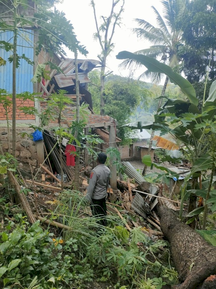 Polsek Paga Lakukan Penanganan Cepat Setelah Pohon Tumbang Timpa Rumah Warga di Desa Bhera