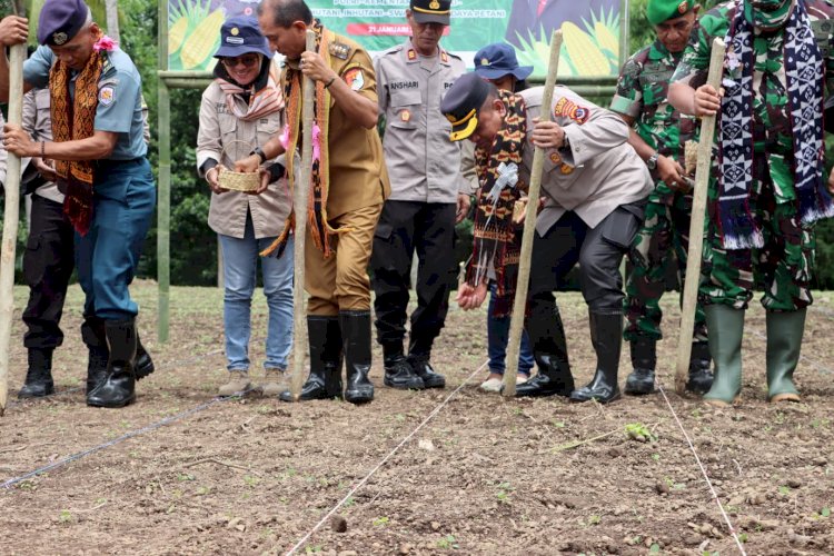 Dukung Ketahanan Pangan Nasional, Kapolres Sikka bersama Forkopimda Laksanakan Program “Tanam Jagung Serentak Sejuta Hektar” di Desa Nelle Barat