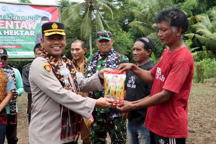 Dukung Ketahanan Pangan Nasional, Kapolres Sikka bersama Forkopimda Laksanakan Program “Tanam Jagung Serentak Sejuta Hektar” di Desa Nelle Barat