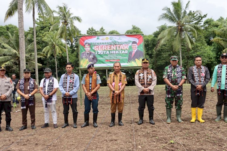 Dukung Ketahanan Pangan Nasional, Kapolres Sikka bersama Forkopimda Laksanakan Program “Tanam Jagung Serentak Sejuta Hektar” di Desa Nelle Barat