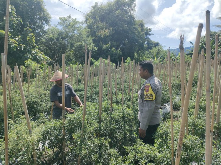 Bhabinkamtibmas Desa Bhera Beri Motivasi Warga Dukung Ketahanan Pangan Nasional melalui Pendataan Lahan Produktif