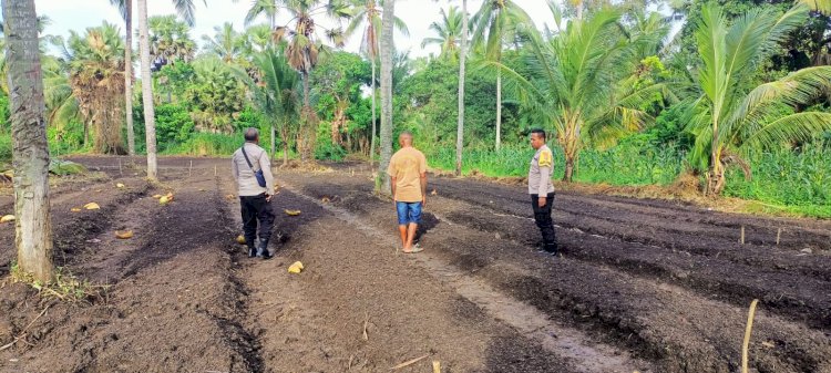 Bhabinkamtibmas Polsek Nelle Terjun ke Kebun, Dukung Petani Wujudkan Swasembada Pangan