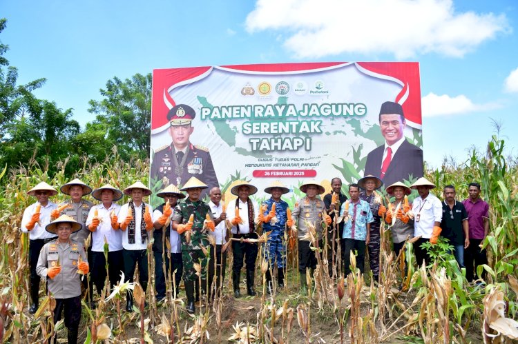 Polda NTT Panen Jagung Serentak Tahap I, Dukung Swasembada Pangan 2025