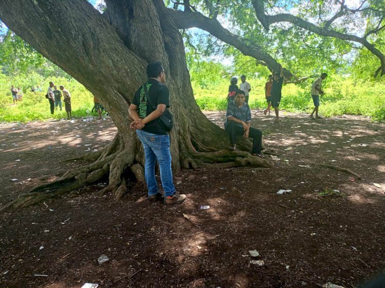 Arena Sabung Ayam di Kewapante Digerebek, Polisi Sita Barang Bukti