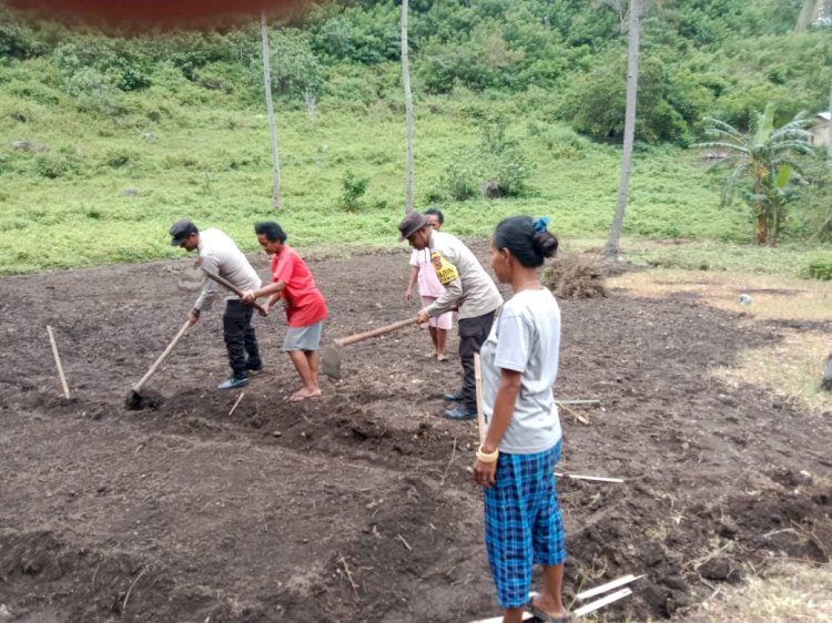 Sinergitas Polsek Bola untuk Tingkatkan Pengetahuan Petani dalam Pengelolaan Lahan