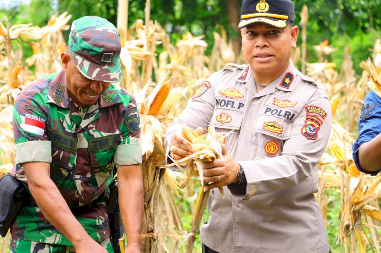 Wakapolres Sikka dan Forkopimda Ikuti Panen Raya Nasional ; Presiden Prabowo Sapa Sikka Lewat Zoom Meeting