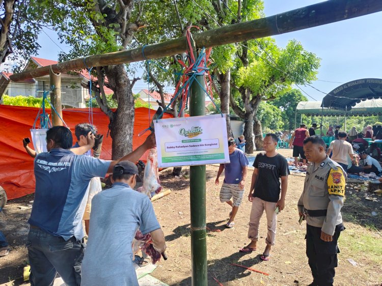 Kegiatan Pengamanan Pemotongan Hewan Kurban Dalam Rangka Hari Raya Idul Adha 1446 H/2025 M di Kantor PCNU Cabang Kab Sikka
