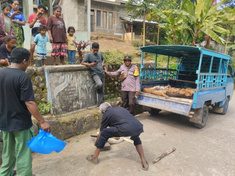 BERSAMA TIM GABUNGAN LAKSANAKAN KEGIATAN ELMINASI HEWAN PENULAR RABIES / HPR (ANJING)