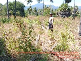 BHABINKAMTIBMAS KOORDINASI DENGAN KETUA POKTAN DALAM RANGKA KETAHAN PANGAN