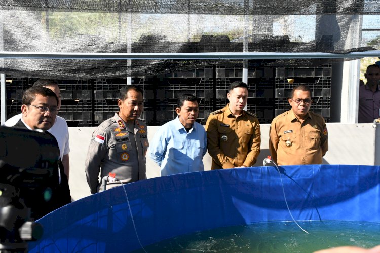 Inovasi Kapolda NTT Ubah Limbah Jadi Pakan dan Pupuk Organik