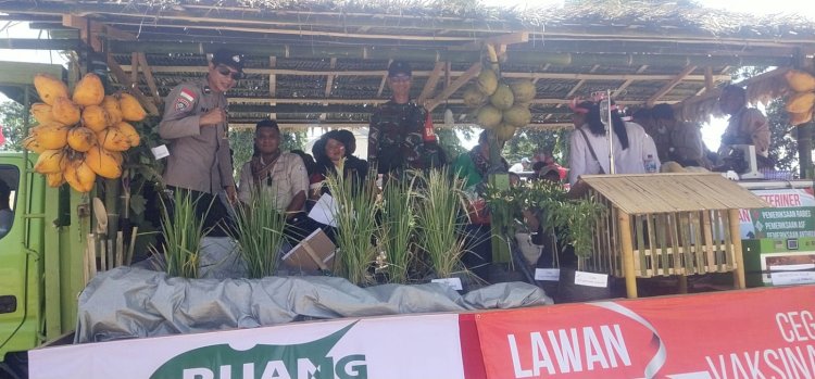 Sinergi Hebat:  Bhabinkamtibmas dan Babinsa Meriahkan Pawai Karnaval Bersama Dinas Pertanian Sikka Dukung Ketahanan Pangan Nasional