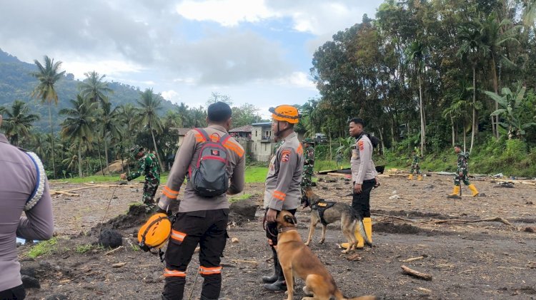 Hari ke-11, Tiga Korban Banjir Bandang Mauponggo Belum Ditemukan, Tim Gabungan Terus Sisir Sungai Teodhae
