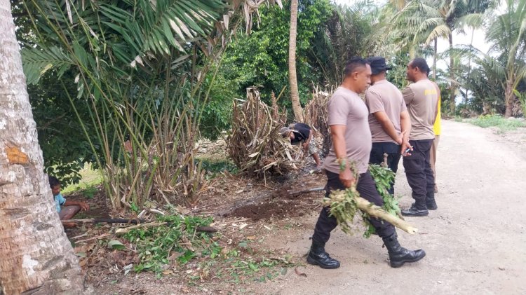 “Persiapan Peresmian Kandang Batim, Polres Sikka dan Polsek Bola Turun Gelar Kurve”