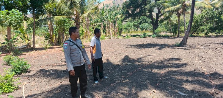 Dukung Ketahanan Pangan, Bhabinkamtibmas Polres Sikka Polda NTT Dampingi Petani Kaju Naja O’a Olah Lahan Jagung