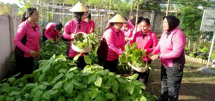 Bhayangkari Cabang Sikka Gelar Panen Raya Program P2L, Dorong Kemandirian Pangan Keluarga