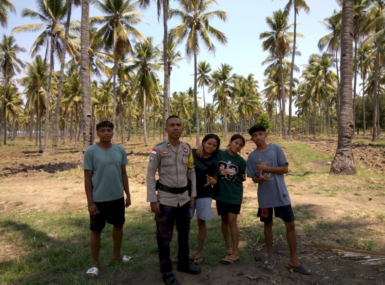 Dari Ladang Patiahu Sikka, Bhabinkamtibmas Polsek Runut Kobarkan Semangat Ketahanan Pangan