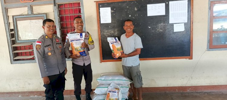Polres Sikka Polda NTT Bersama Petani Karitas Dukung Ketahanan Pangan Melalui Penanaman Jagung Serentak