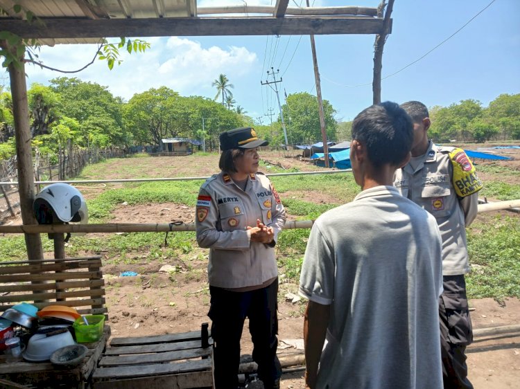 Polsek Alok Polres Sikka Polda NTT Gandeng Petani Bumbu RJ Wujudkan Ketahanan Pangan Melalui Tanam Jagung