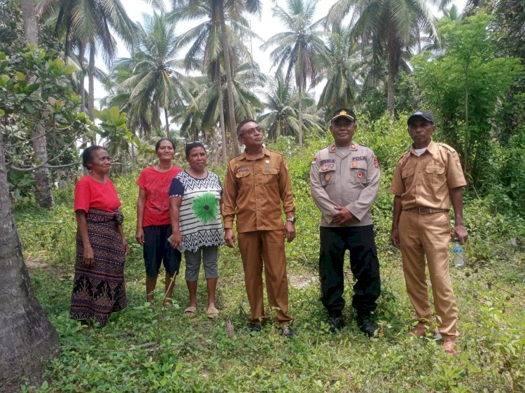 Sinergi Polri dan Dinas Pertanian Sikka Wujudkan Lumbung Jagung di Kecamatan Nita